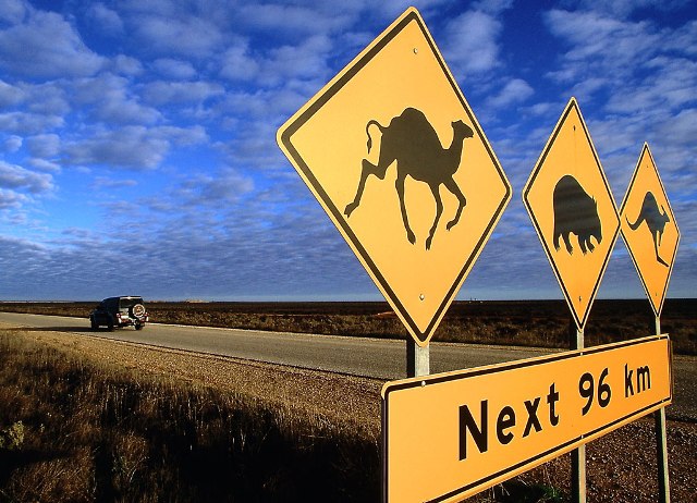 Австралийский дорожный знак предупреждает о том, что на дорогу могут выбегать различные животные