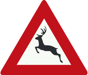 Traffic sign of Netherlands: Warning for crossing deer
