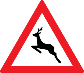 Traffic sign of Romania: Warning for crossing deer